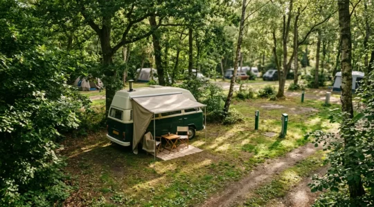Piazzola camper perfettamente ombreggiata sotto alberi frondosi in un campeggio estivo